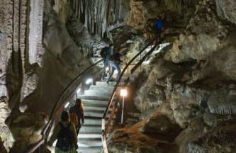 Wild Palms Apartment - Foto 56