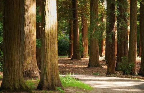 The Knoll Tower - Foto 30