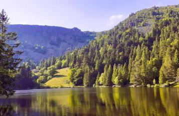 MUNSTER camping de la FECHT - Foto 26