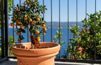 Apartment Lea - Foto 1