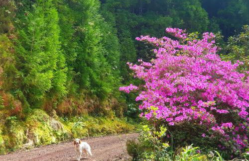 Azor International Apartment II - Foto 29