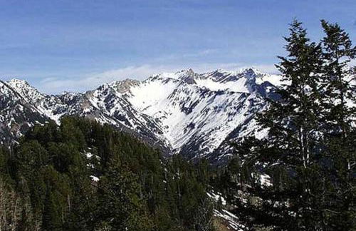 New Distinctive Historical Unit from 5 Star Host - Foto 39