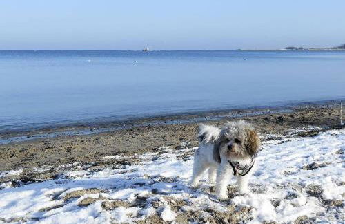 Haus Anholt - Foto 19