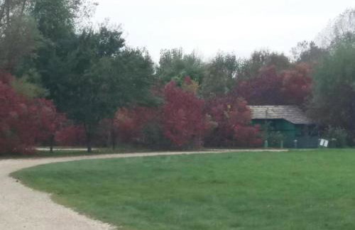 Torine - Capacious Holiday Home in Neorić with Heated Swimming Pool - Foto 73