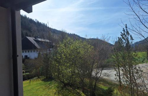 Gemütliche Ferienwohnung in Sankt Blasien - Foto 19