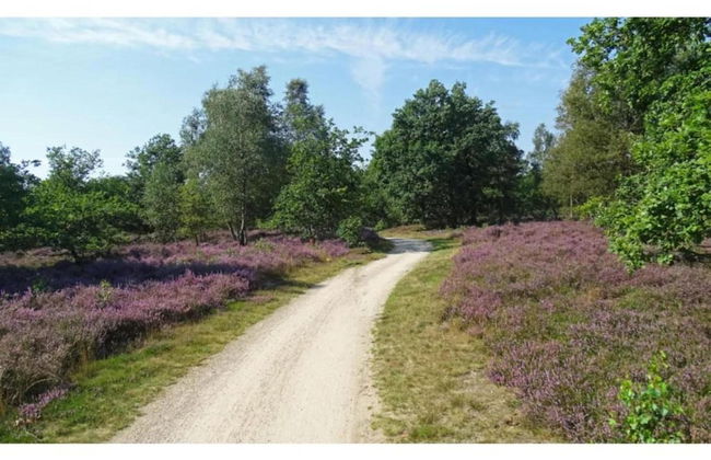 Markelo Lodge Near Trails - Photo 22