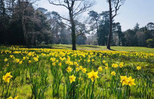 Little Woodside a beautiful New Forest self contained private luxury annexe - Foto 68