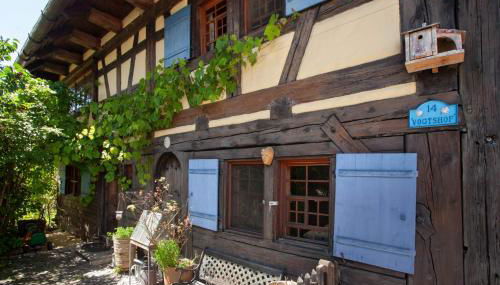 Historischer Vogtshof: eingezäunt | sonniger Garten | Kamin | Denkmalschutz - Foto 3