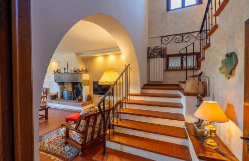 Il Fico e La Civetta - Foto 53