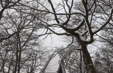 Ferienwohnungen Sternenhimmel WHG 1 - Foto 55