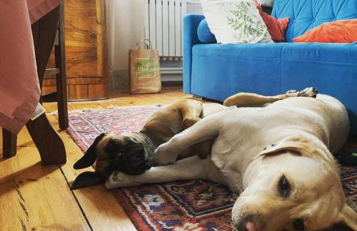 Kolbergarden - Foto 26