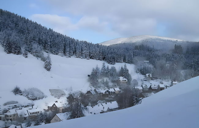 Charmantes Refugium, Harz - Foto 28