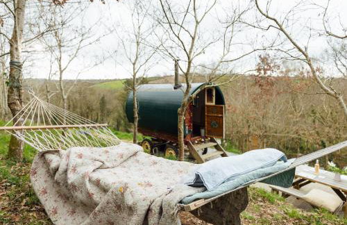 Goldfinch - Photo 18