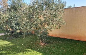 Gianni & Sophia airport house - Foto 2