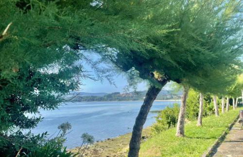 Ático con vistas a la ría de Arosa - Foto 36