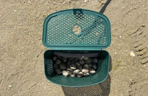 Gite Ker Domi 3 personnes-Plages et GR34 à pied Plouguerneau - Foto 37
