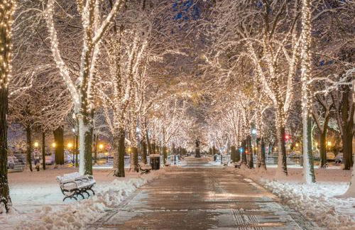 Serene 4BR 3BA Apt Near Harvard MIT Sleeps 11 - Foto 53