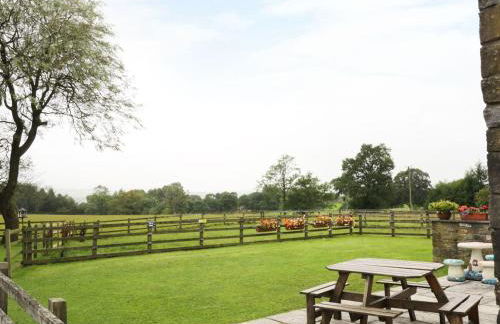 Mallard at Spring Head Farm - Foto 30