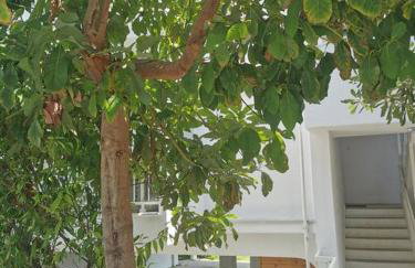 Απέραντο γαλάζιο Le grand blue - Foto 62