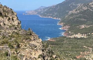 Sweet William - Foto 35