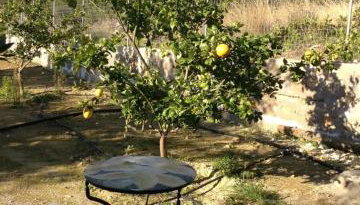 Ktima Agrilia 1 - Foto 3, Garden