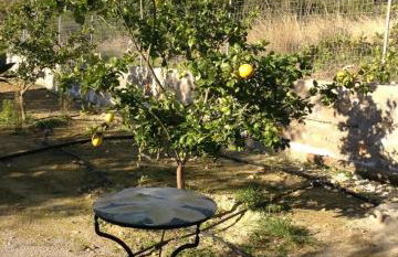 Ktima Agrilia 1 - Foto 3