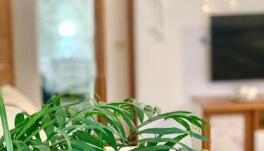 Your Holiday Home - El Tablado - Tenerife Sur - Foto 3