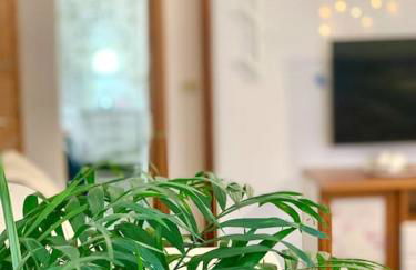 Your Holiday Home - El Tablado - Tenerife Sur - Foto 3