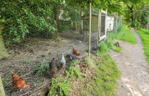 The Olde Cow House - Foto 53