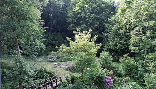 Dom Przytulisko - Foto 4, Garden