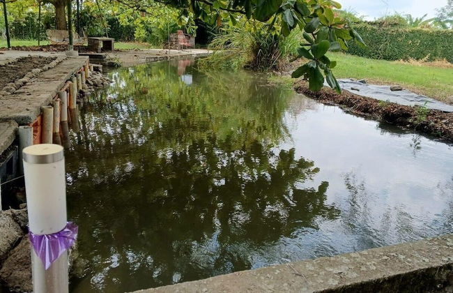 La Guarida - Photo 37