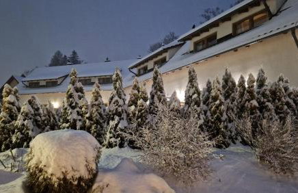 Widokowo - Domki z widokiem na Śnieżkę z Jacuzzi i Sauną - Photo 28