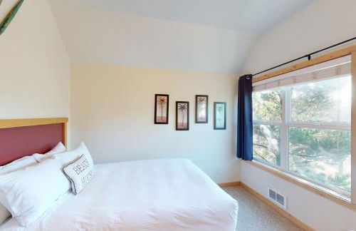 Pacific Shorepine - Foto 19