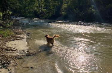 TOT'I Dè BARACA - Photo 12