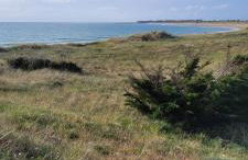la cabane de chez berthe proche de la plage - Foto 18