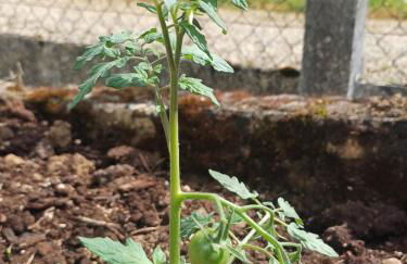 La maison des doux souvenirs - Foto 30
