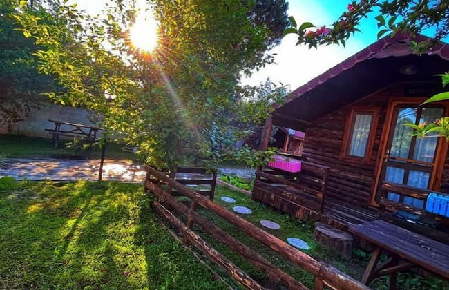 Zeytindagi Bungalow - Foto 25