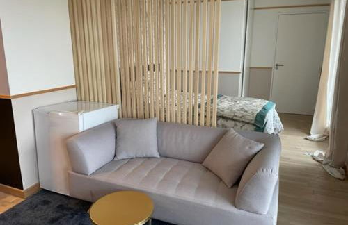 Biron deluxe studio flea market of Paris, porte de Montmartre - Foto 11