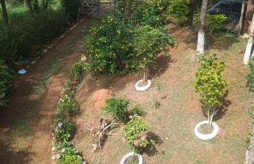 Sítio da Restauração - Photo 39