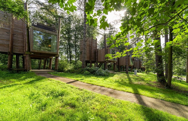 Treehouse in Tournai With Sauna and Terrace - Photo 20