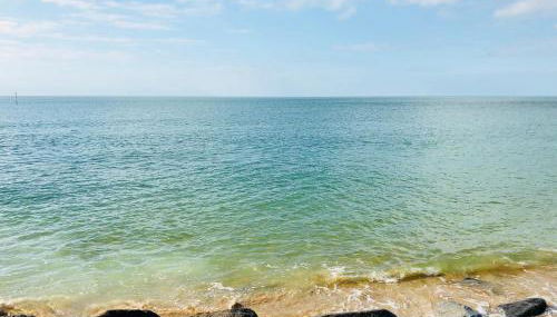 Garden Oasis - Foto 4