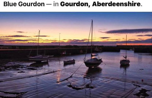 Driftwood - Photo 21