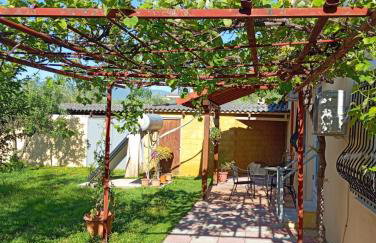 Αυλή της Ελιάς - Foto 22