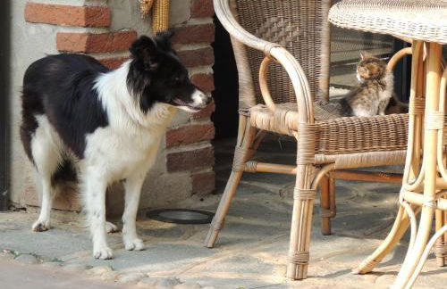 Cascina La Commenda - Foto 5