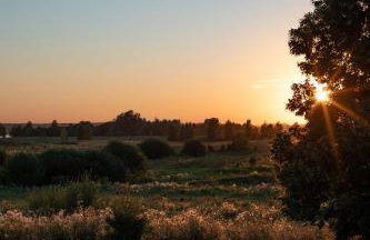 Siedlisko Szymonka - Foto 8