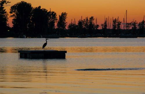 Waterfront North Hero Home with Screened Porch - Foto 44