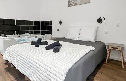 Balnéo privée & cinéma XXL - Logement premium à Tourcoing - Foto 8