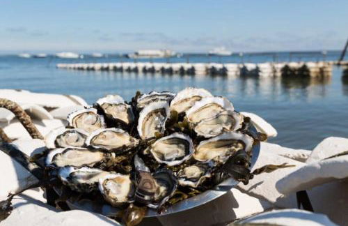 Maison piscine 4 ch Carcans Médoc Bassin Arcachon - Foto 54