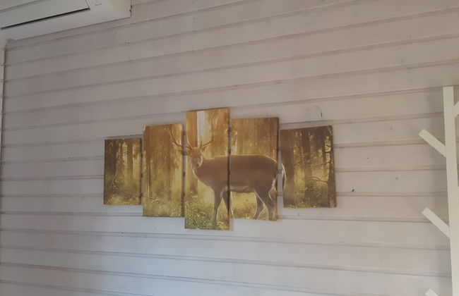 Comfort Sauna 4p in Uelsen - Foto 7