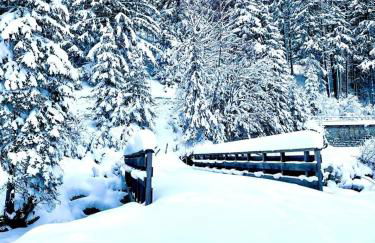 Cozy comfort, pool and spa close to Mont Blanc - Foto 49